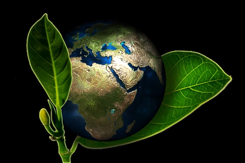 Eco-Friendly-Hand-Wash--in-San-Ysidro-California-Eco-Friendly-Hand-Wash-5656700-image