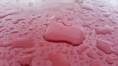Automotive-Wash-And-Wax--in-Boulevard-California-automotive-wash-and-wax-boulevard-california-6.jpg-image