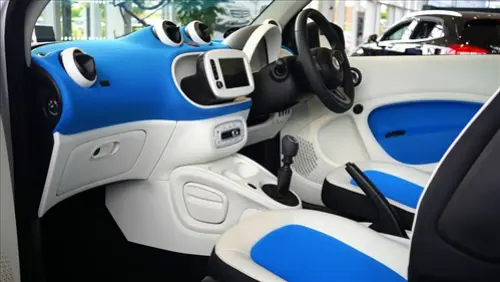 Complete-Automotive-Sanitizing-And-Deodorizing---in-Bonita-California-complete-automotive-sanitizing-and-deodorizing-bonita-california-3.jpg-image